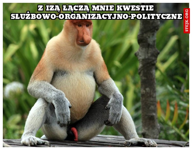 Z Izą łączą mnie kwestie służbowo-organizacyjno-polityczne