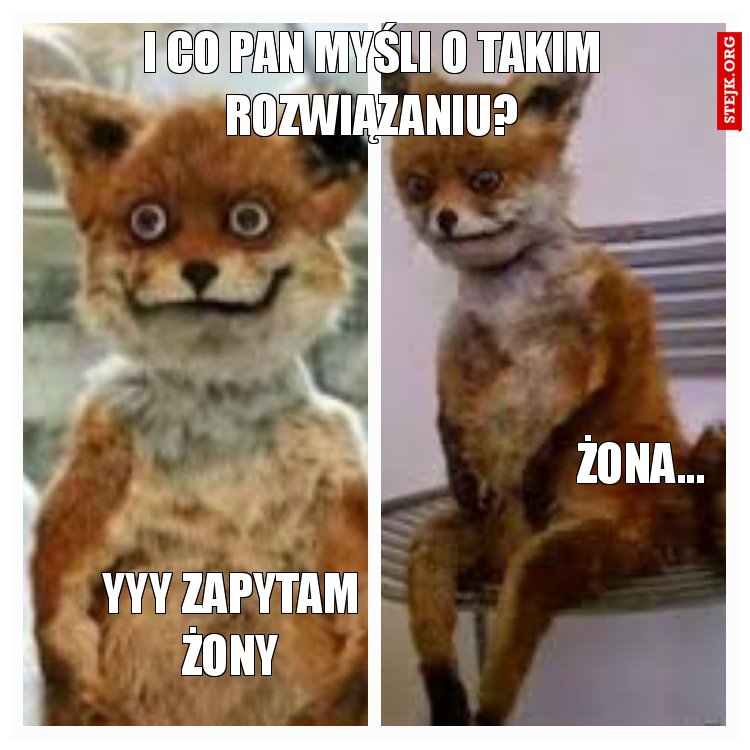 I co Pan myśli o takim rozwiązaniu?