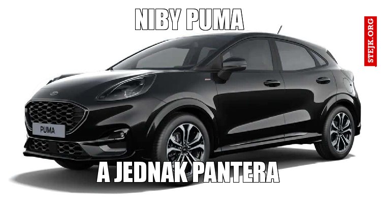 NIBY PUMA