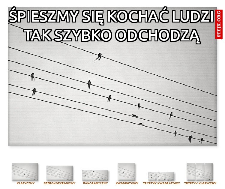 śpieszmy się kochać ludzi tak szybko odchodzą