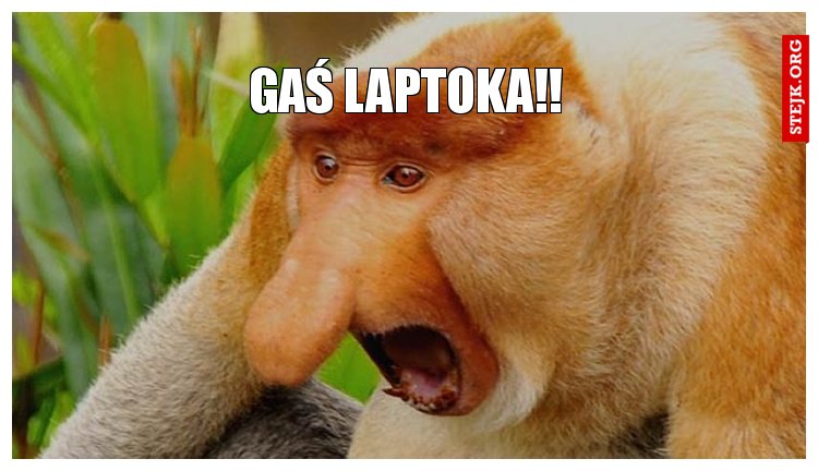 Gaś Laptoka!!