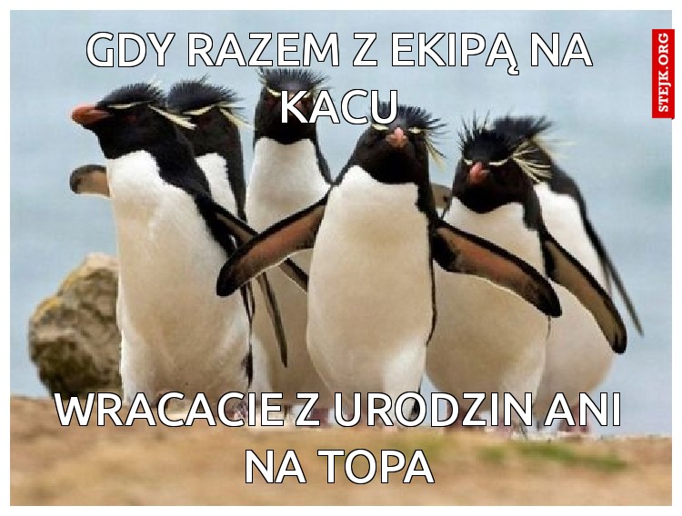 gdy razem z ekipą na kacu