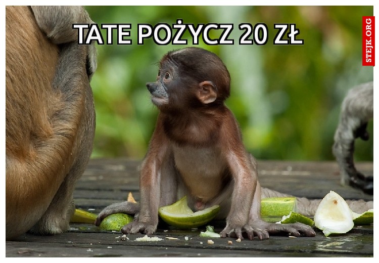 TATE Pożycz 20 zł