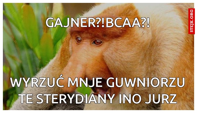 Gajner?!BCAA?!