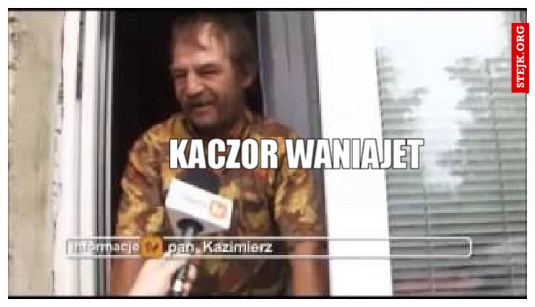 Kaczor Waniajet 