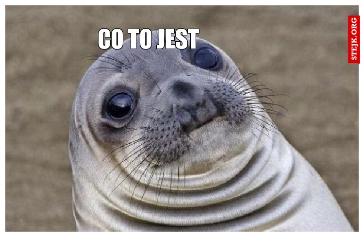 Co to jest