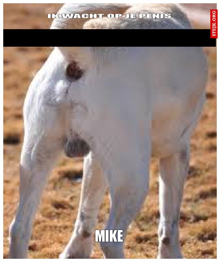 Mike