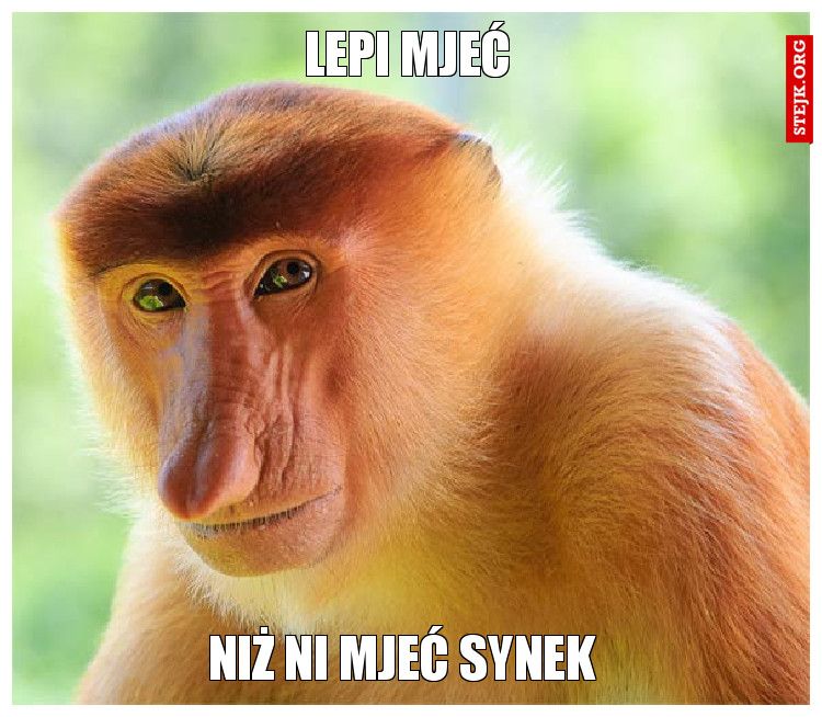 Lepi mjeć