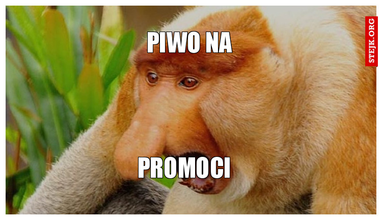 piwo na promoci