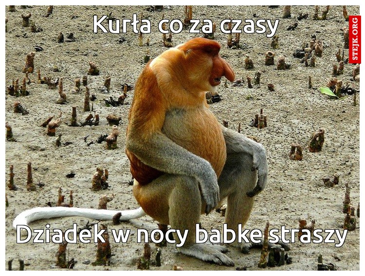 Kurła na L4 polazł ani ni ma z kim pogodać