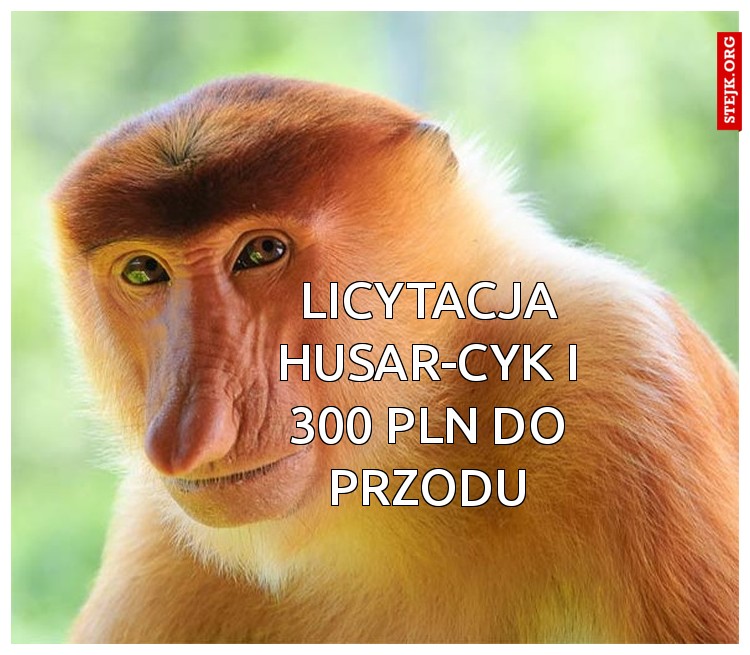 licytacja husar-cyk i 300 pln do przodu