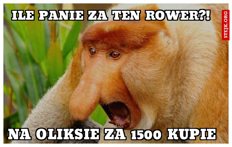 ILE PANIE ZA TEN ROWER?!