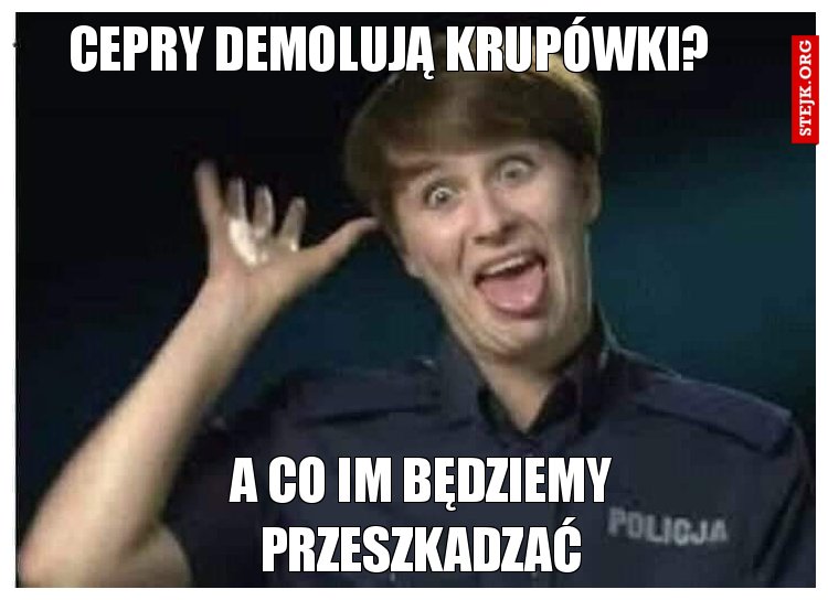 cepry demolują krupówki?