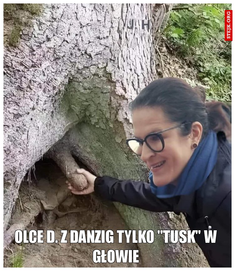 Olce D. z Danzig tylko "tusk" w głowie