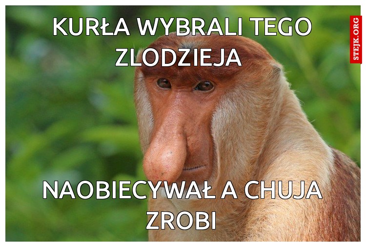 Kurła wybrali tego zlodzieja 