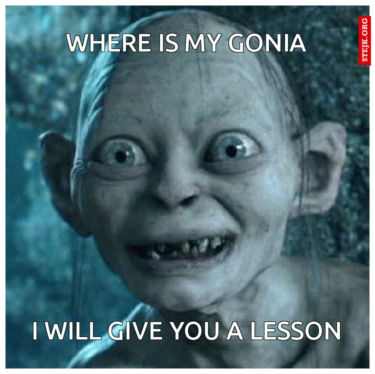 Where is my Gonia