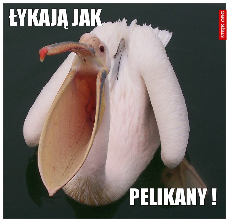 PELIKAN
