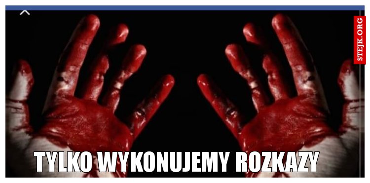 Tylko wykonujemy rozkazy