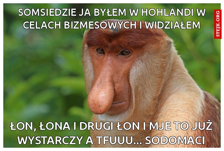 somsiedzie ja byłem w hohlandi w celach bizmesowych i widziałem