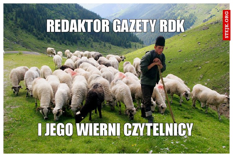 Redaktor gazety Rdk