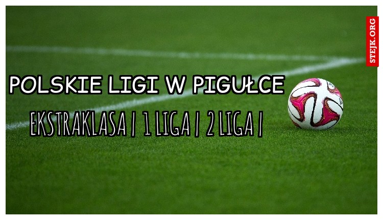 Polskie ligi w pigułce