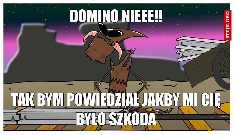 domino nieee!!