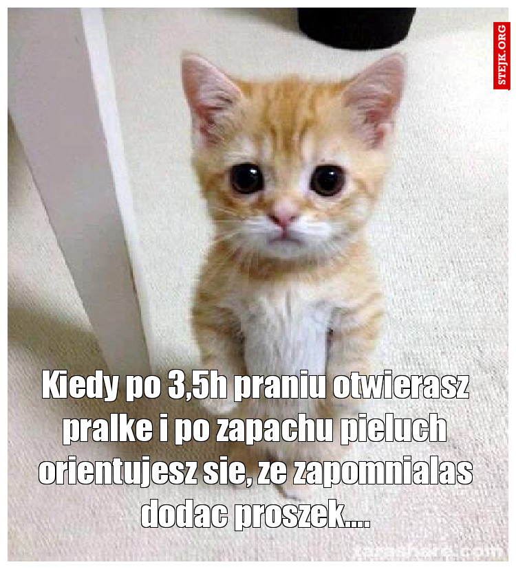 Kiedy po 3,5h praniu otwierasz pralke i po zapachu pieluch orientujesz sie, ze zapomnialas dodac proszek....