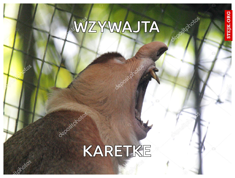 WZYWAJTA