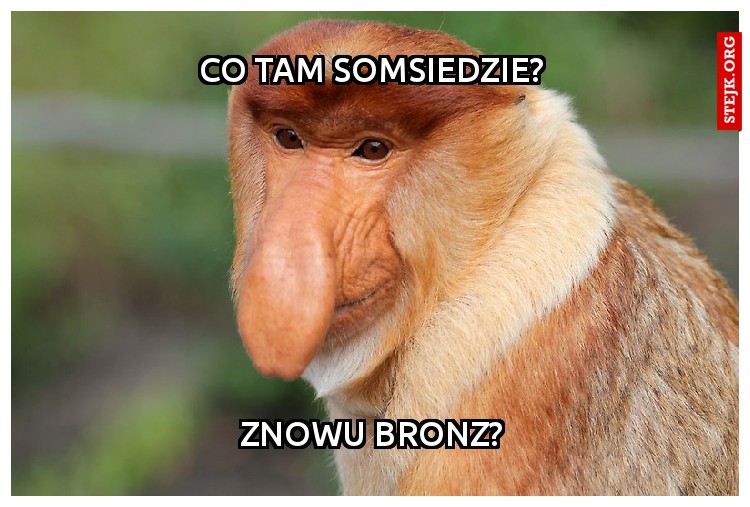 CO TAM SOMSIEDZIE?