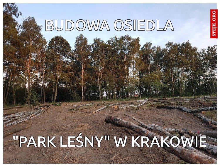 Budowa osiedla