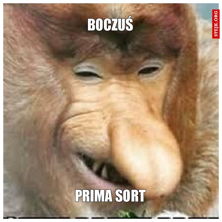Boczuś