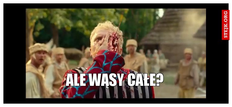 Ale wąsy całe?
