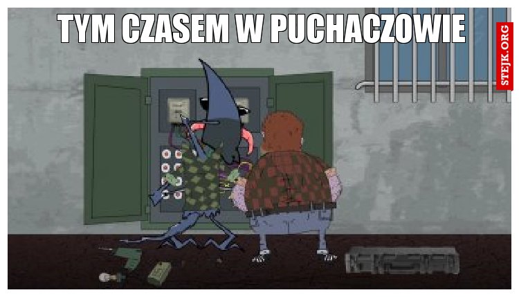 Tym czasem w Puchaczowie