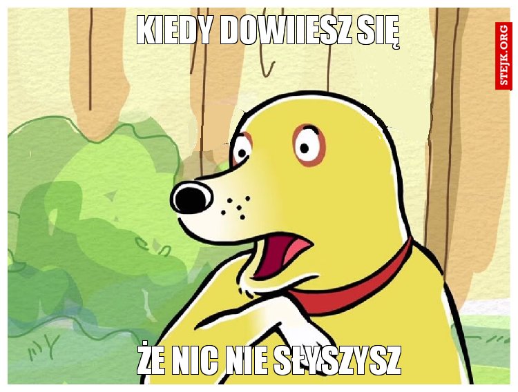 Kiedy dowiiesz się 