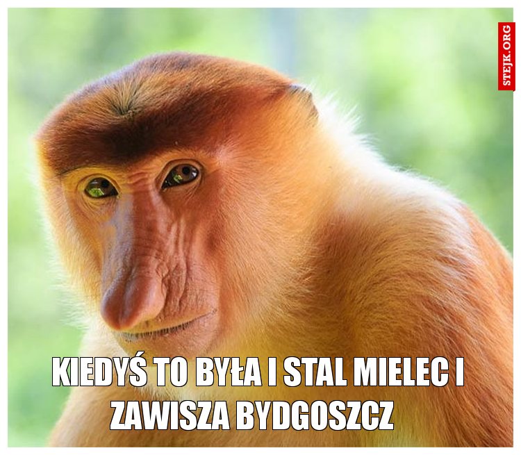 Kiedyś to była i stal Mielec i Zawisza Bydgoszcz  