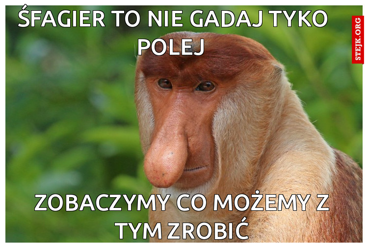 śfagier to nie gadaj tyko polej 