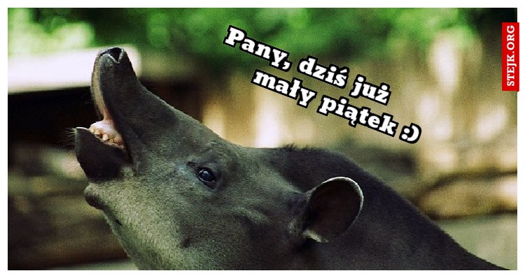 Pany, dziś już          mały piątek :)