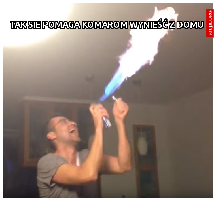 TAk sie pomaga komarom wynieść z domu