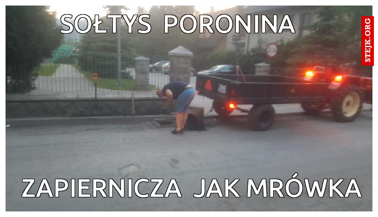 sołtys  poronina