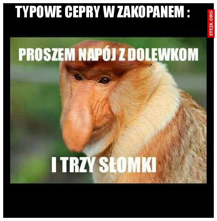 typowe cepry w zakopanem :