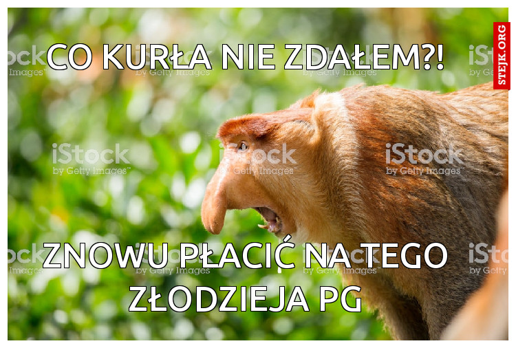 Co kurła nie zdałem?!
