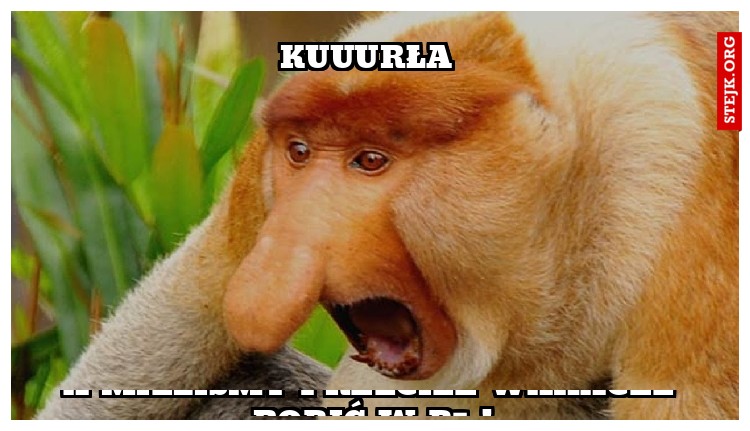 kuuurła 