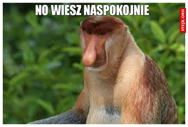 no wiesz naspokojnie 