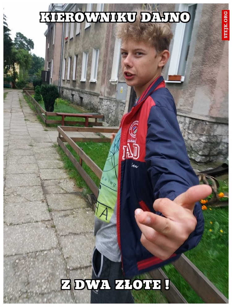 kierowniku dajno