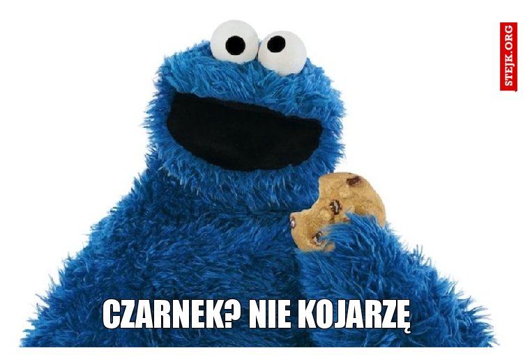 Czarnek? Nie kojarzę 