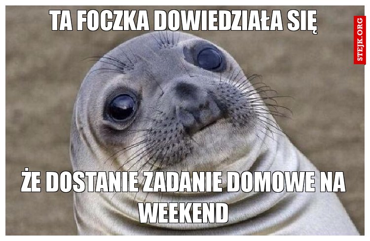 Ta foczka dowiedziała się