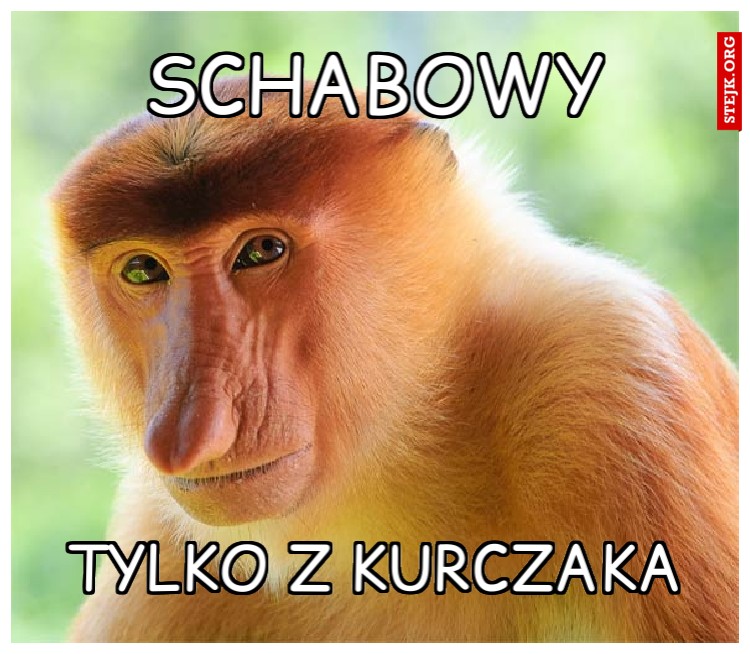 sCHABOWY