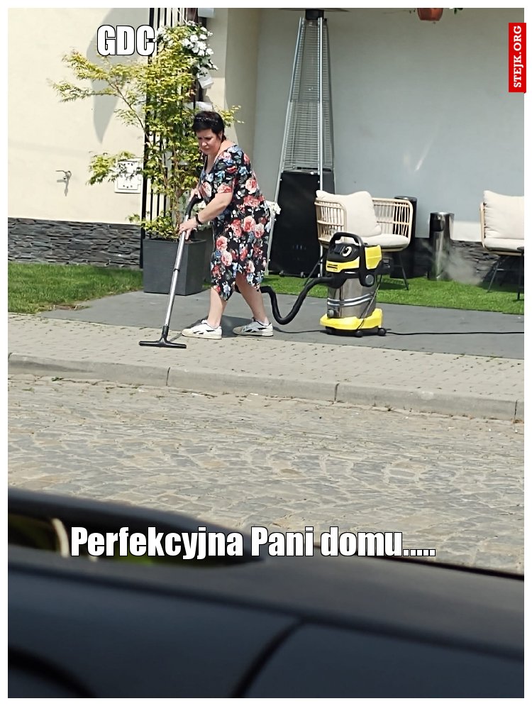 Perfekcyjna Pani domu.....