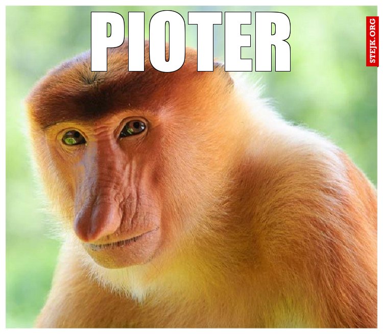 PIOTER
