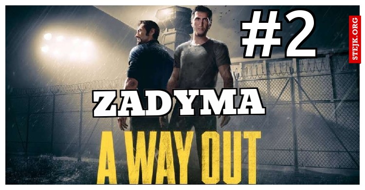 zadyma
